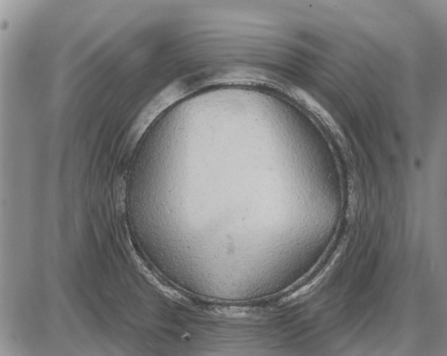 X0000085001329200703261118