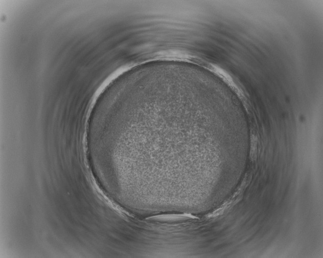 X0000085001331200703261118