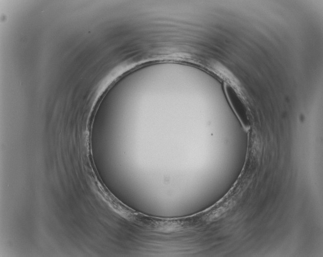 X0000085001332200703261118