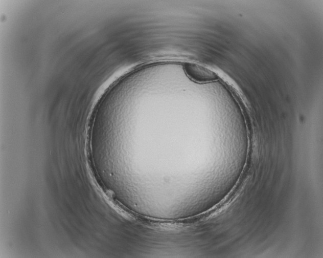 X0000085001333200703261118