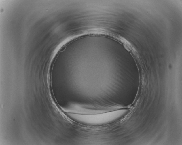 X0000085001334200703261118