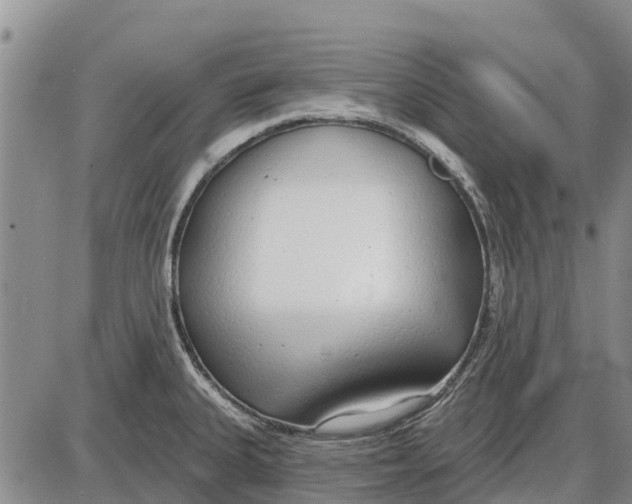 X0000085001335200703261119