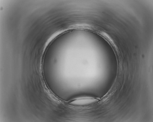 X0000085001336200703261119