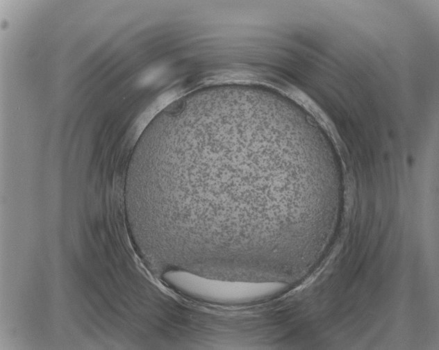 X0000085001337200703261119