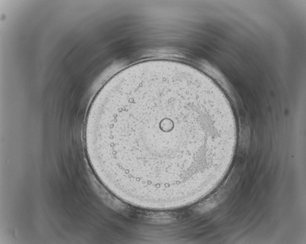 X0000085001338200703261119