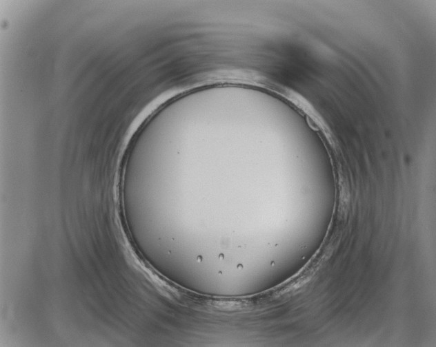 X0000085001339200703261119