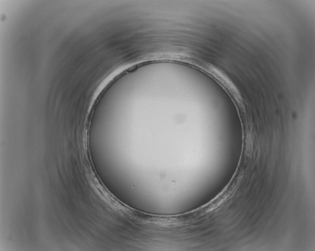 X0000085001340200703261119