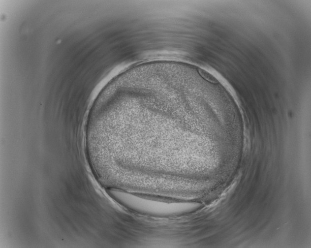 X0000085001341200703261119