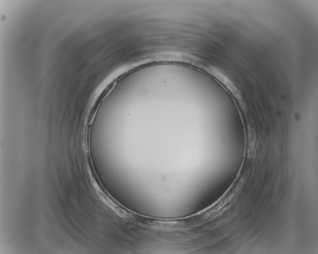 X0000085001342200703261119