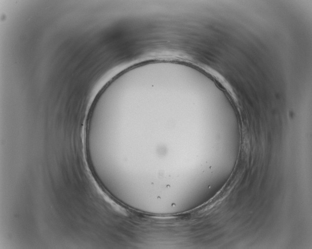 X0000085001343200703261119