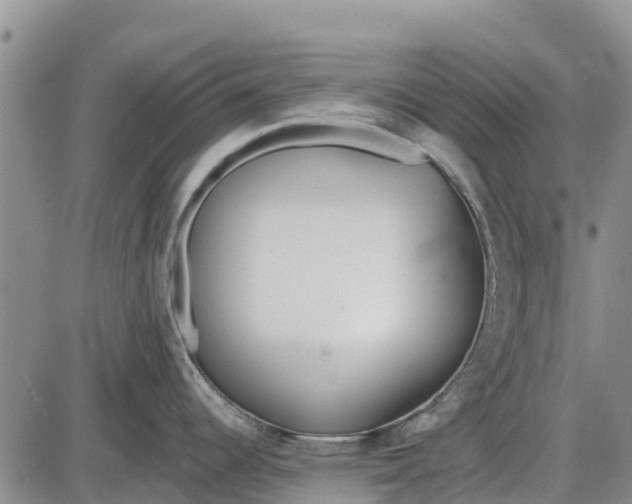 X0000085001344200703261119