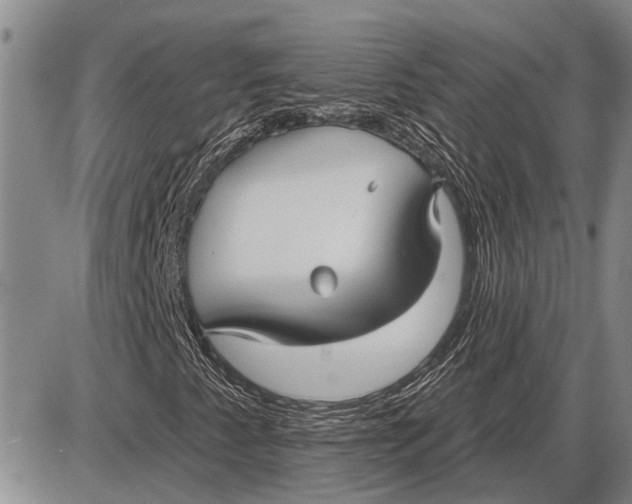 X0000085001345200703261118