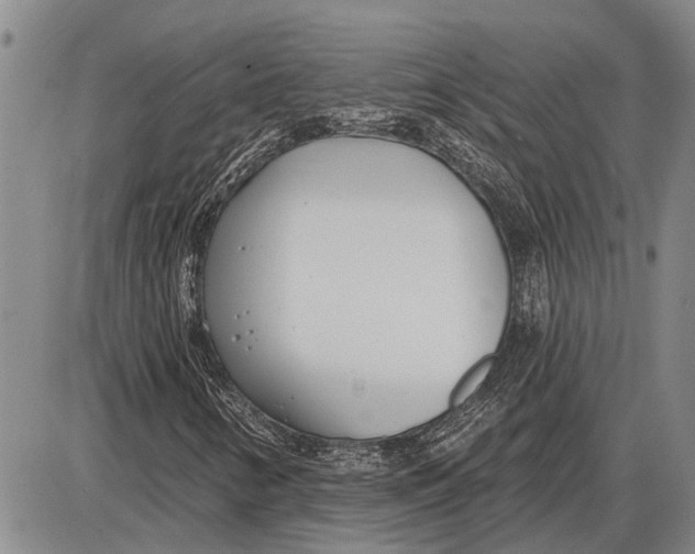 X0000085001346200703261118