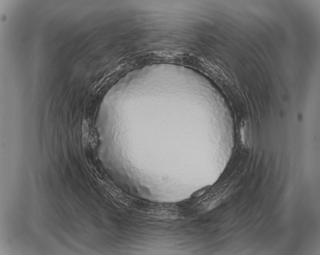 X0000085001347200703261118