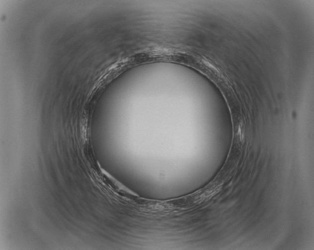 X0000085001348200703261118