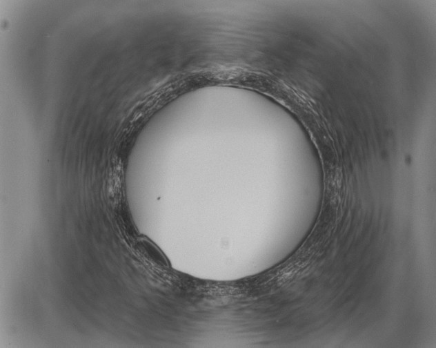 X0000085001349200703261118