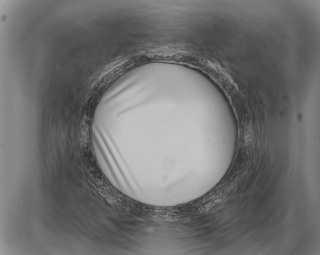 X0000085001350200703261118