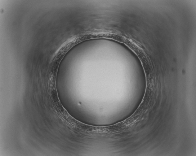 X0000085001351200703261118