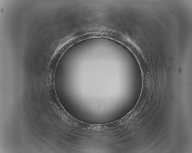 X0000085001352200703261118