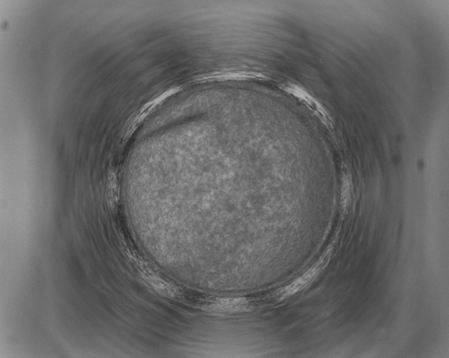 X0000085001353200703261118