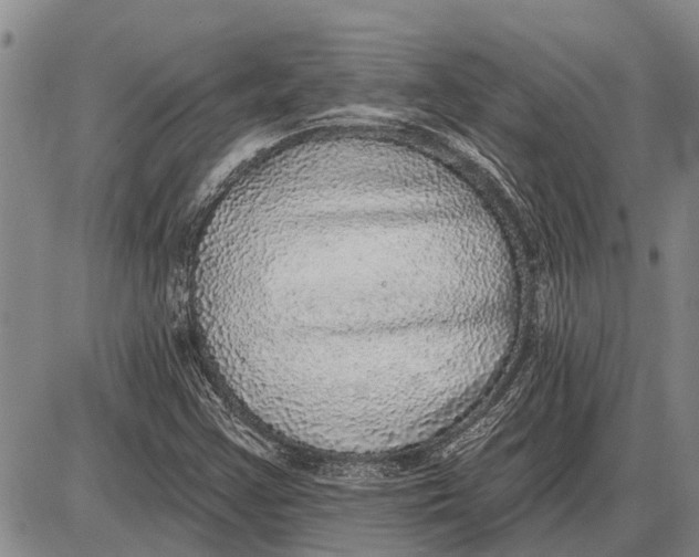 X0000085001355200703261118