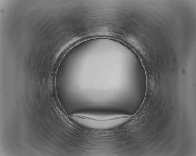 X0000085001356200703261118