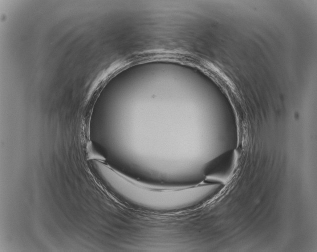 X0000085001357200703261118