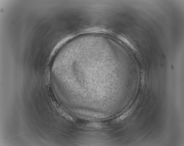 X0000085001358200703261118