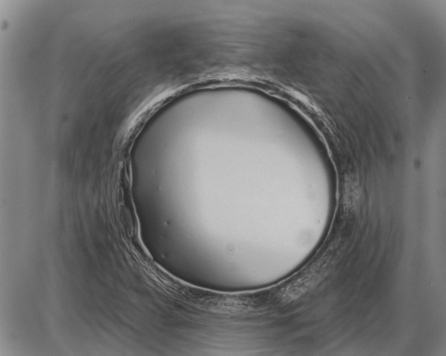 X0000085001359200703261118