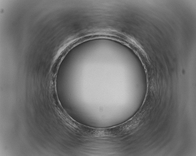 X0000085001360200703261118