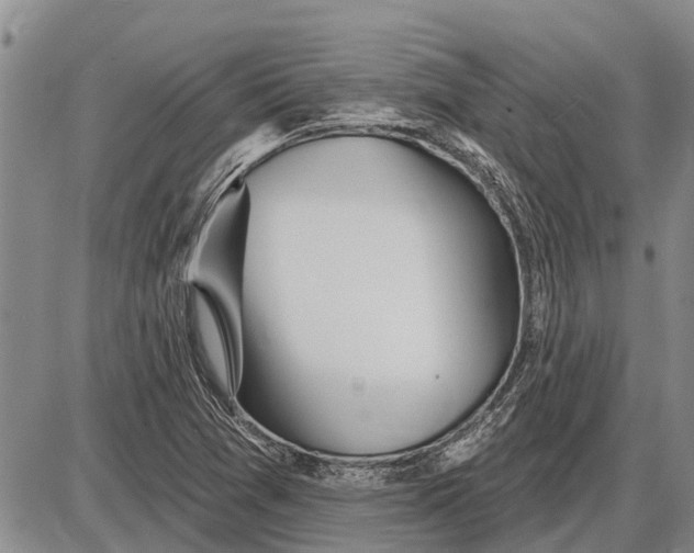 X0000085001361200703261118