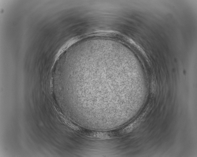 X0000085001362200703261118