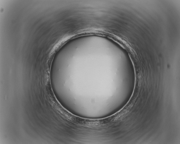 X0000085001363200703261118