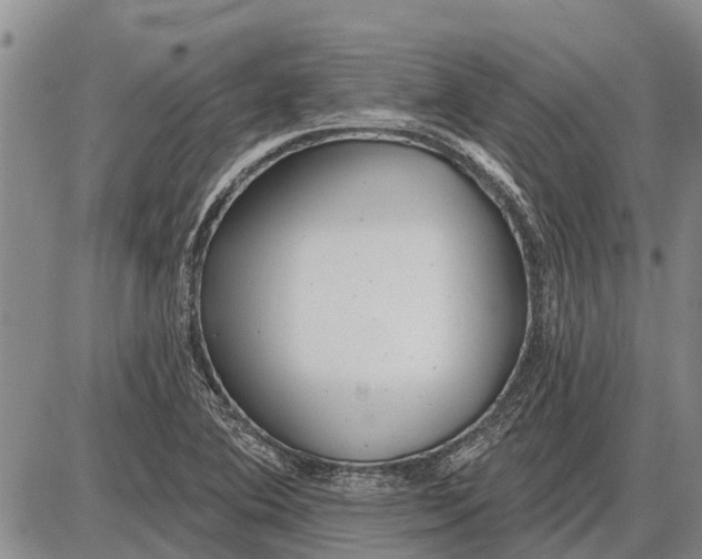 X0000085001364200703261118