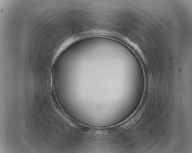 X0000085001365200703261118