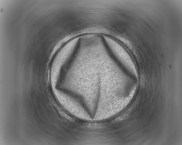 X0000085001366200703261117