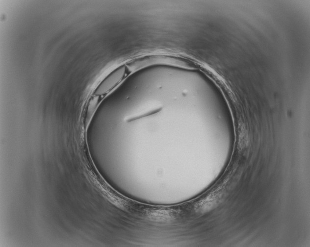 X0000085001367200703261117