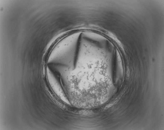 X0000085001368200703261117