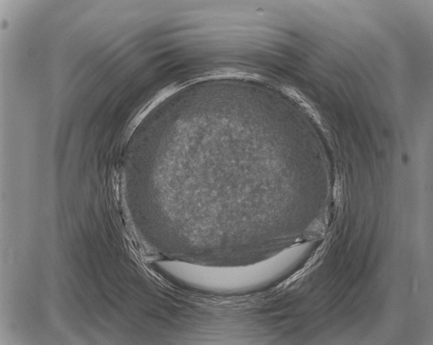 X0000085001369200703261117