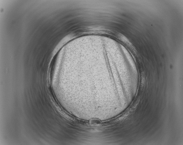 X0000085001370200703261117