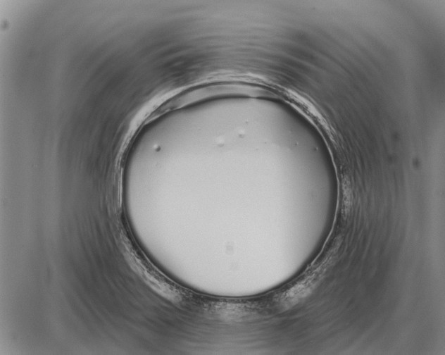 X0000085001371200703261117