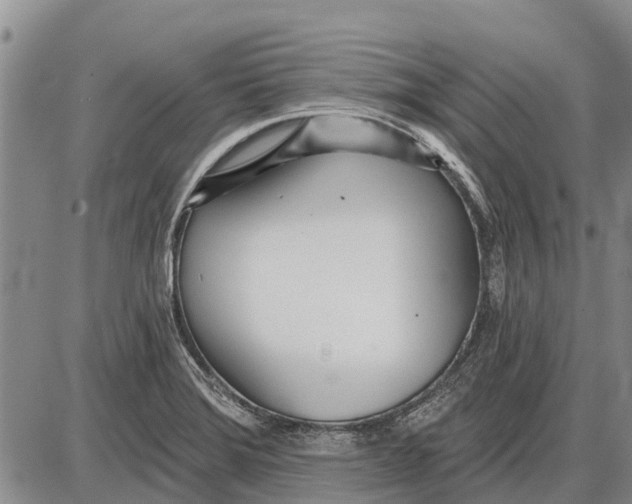 X0000085001372200703261117