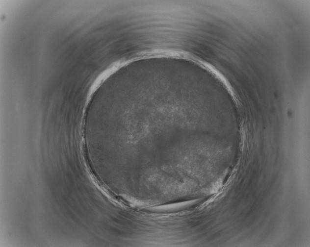 X0000085001373200703261117