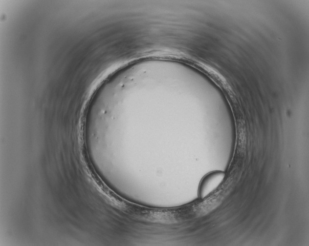 X0000085001375200703261117