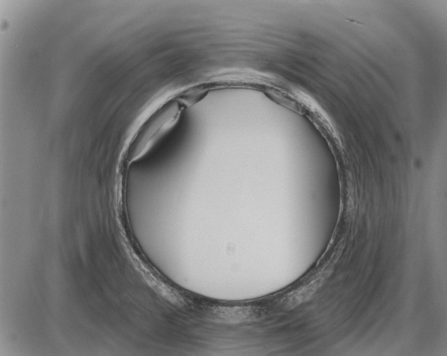 X0000085001376200703261117