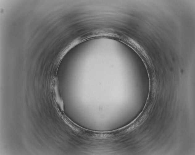 X0000085001377200703261117