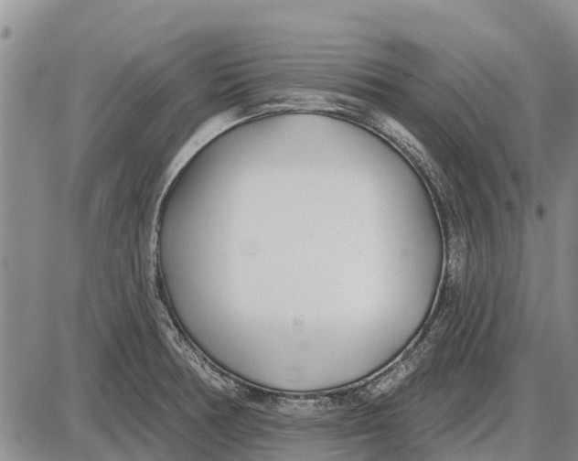 X0000085001378200703261117