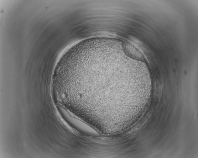 X0000085001379200703261117