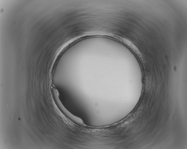 X0000085001380200703261117