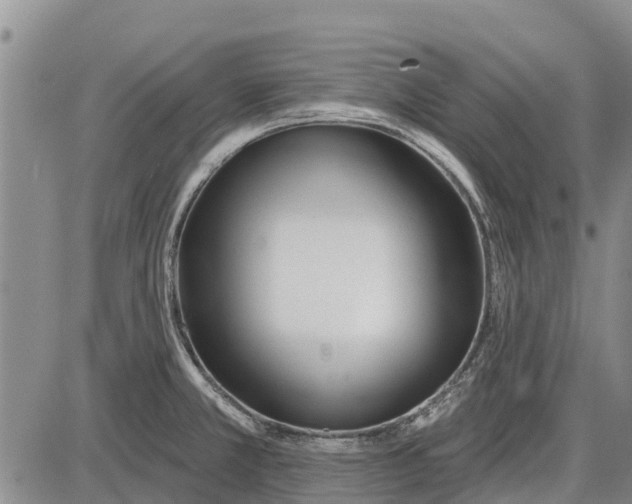 X0000085001381200703261117